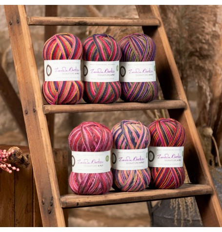 West Yorkshire Spinners Signature 4 ply Zandra Rhodes Collection